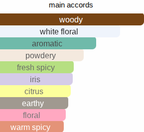 Man In Mirror | Inspired By. Reflection Man