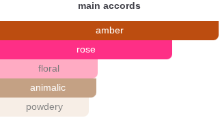 Amber Eclipse | Insp. By Ambre Nuit