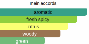 By The Sea | Inspired By. On The Beach