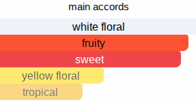 Jane Oud | Inspired By. Oud Jaune Intense