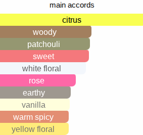 Madam Coco | Inspired By. Coco Mademoiselle