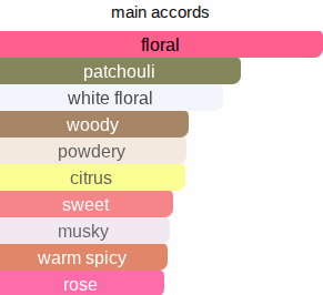 Floral Explosion | Inspired By. Flowerbomb