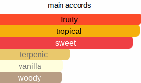 Mango Flash | Inspired By. Mango Skin
