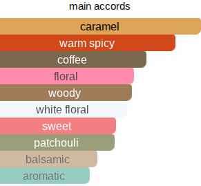 Nights in NY | Insp. By New York Nights